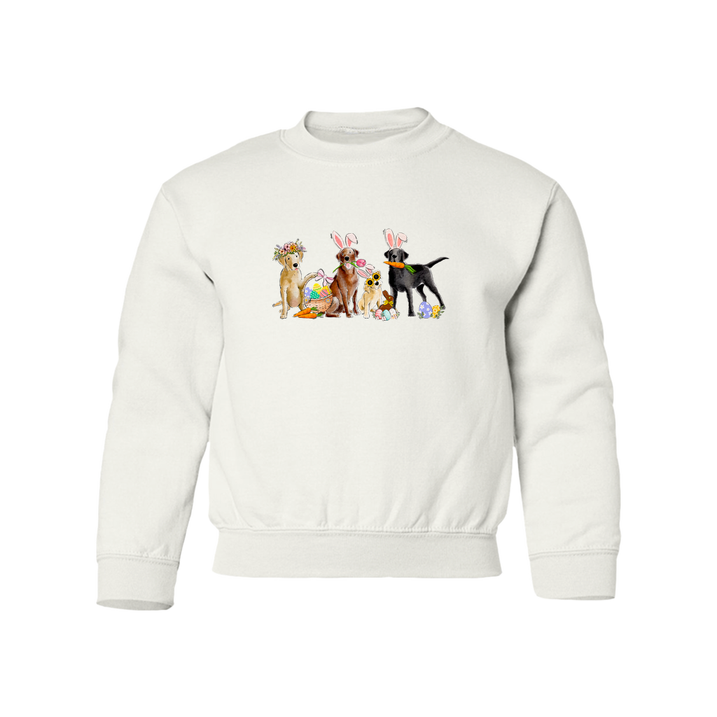 Mixed Labs Easter YOUTH Sweatshirt