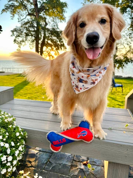 Buffalo Golden Retriever Bandana