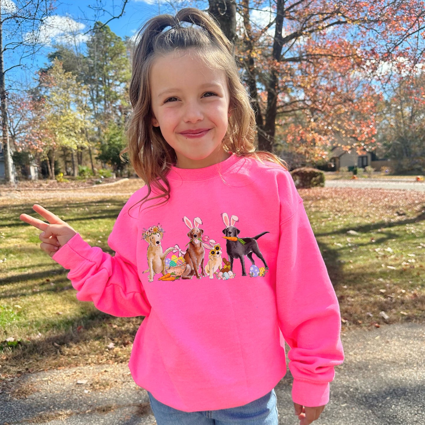 Mixed Labs Easter YOUTH Sweatshirt