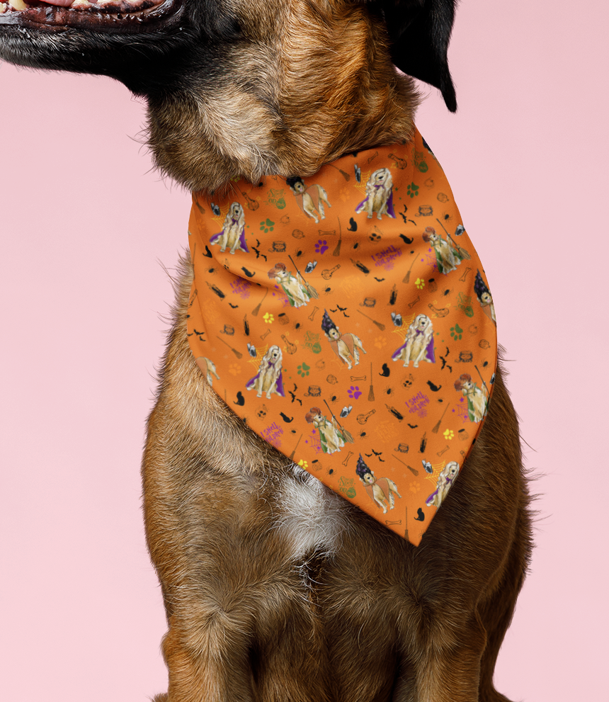 Golden Retriever Hocus Paw-cus Bandanas
