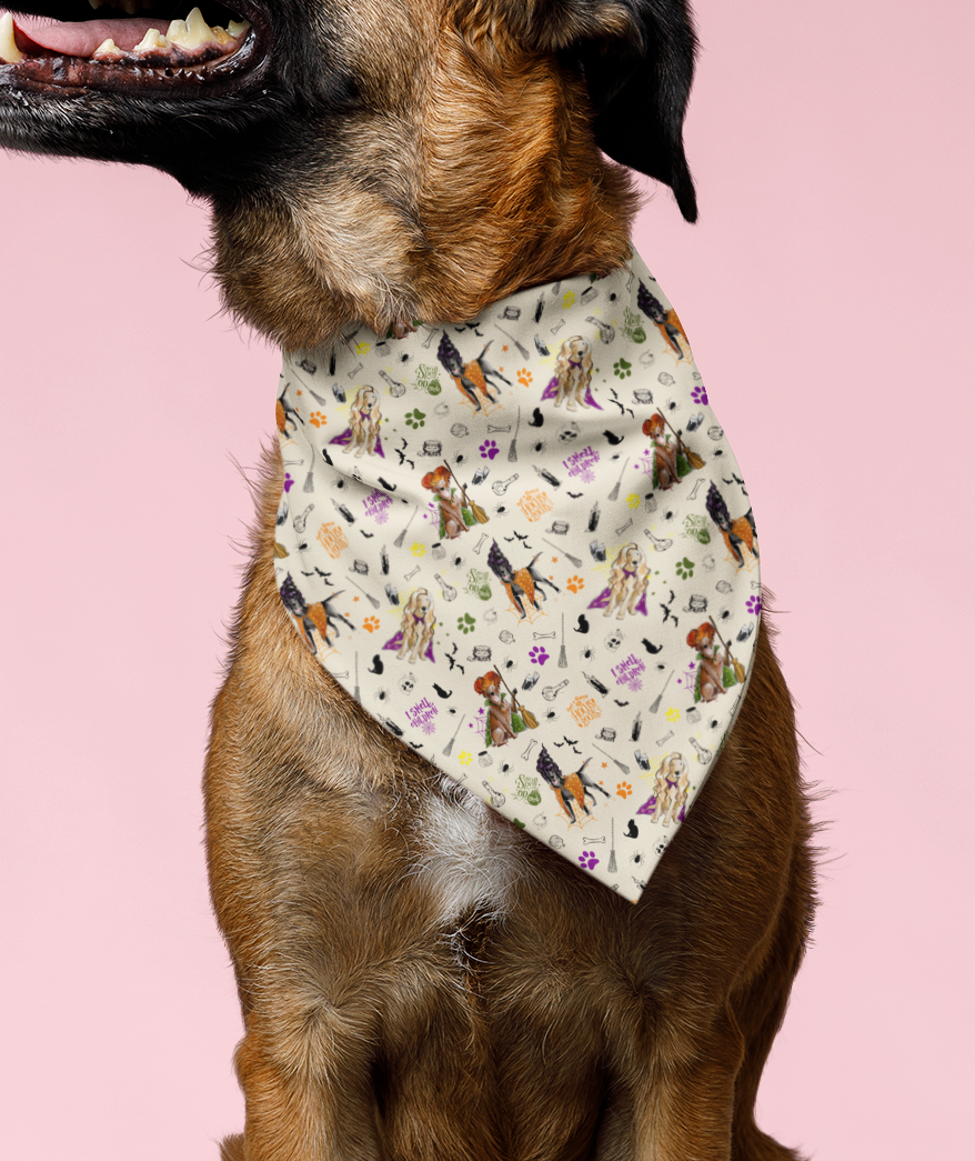 Labrador Hocus Paw-cus Bandanas