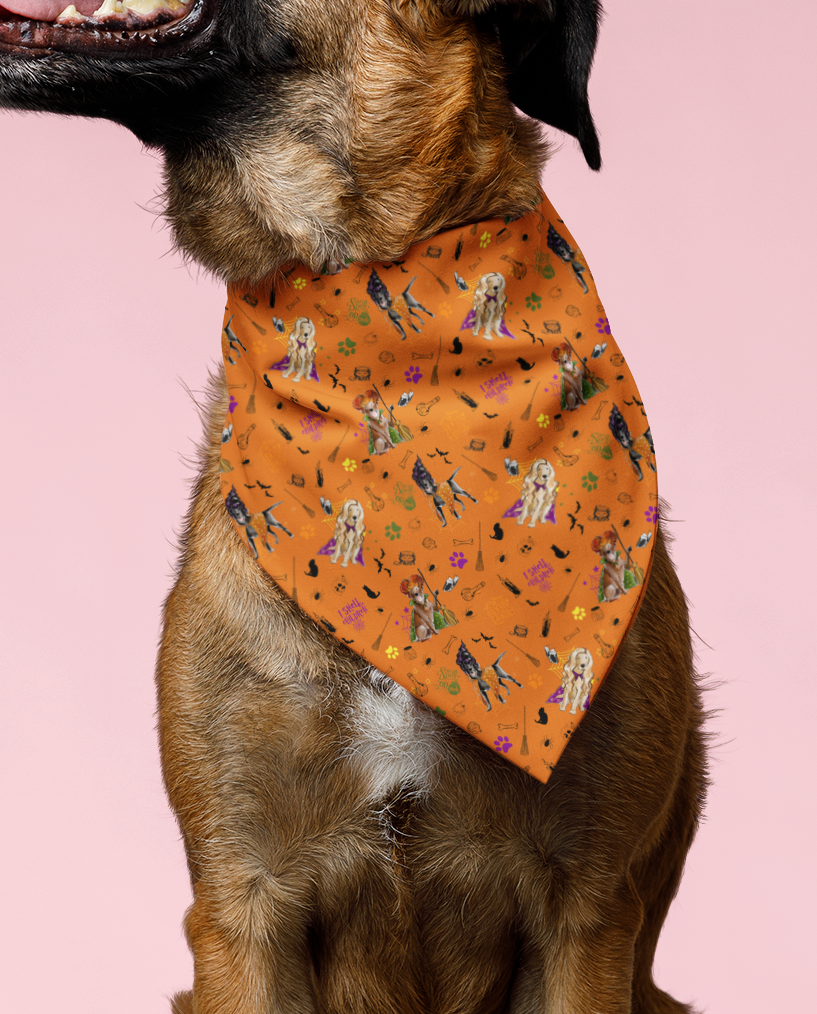 Labrador Hocus Paw-cus Bandanas