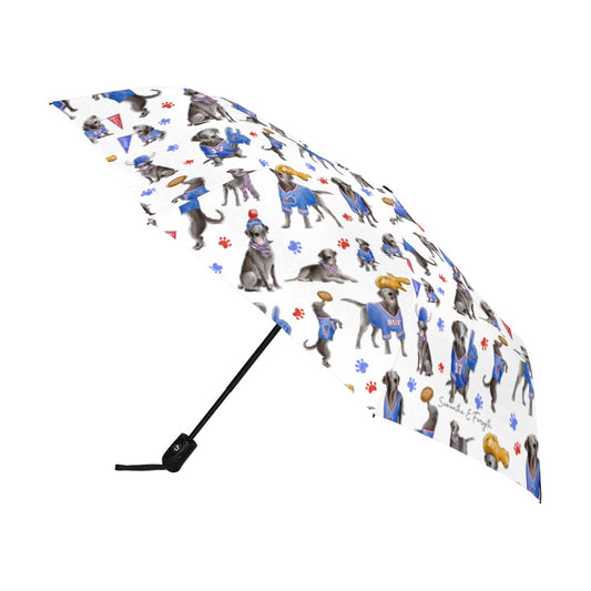 Buffalo Black Lab Umbrella - Auto Open/Foldable!