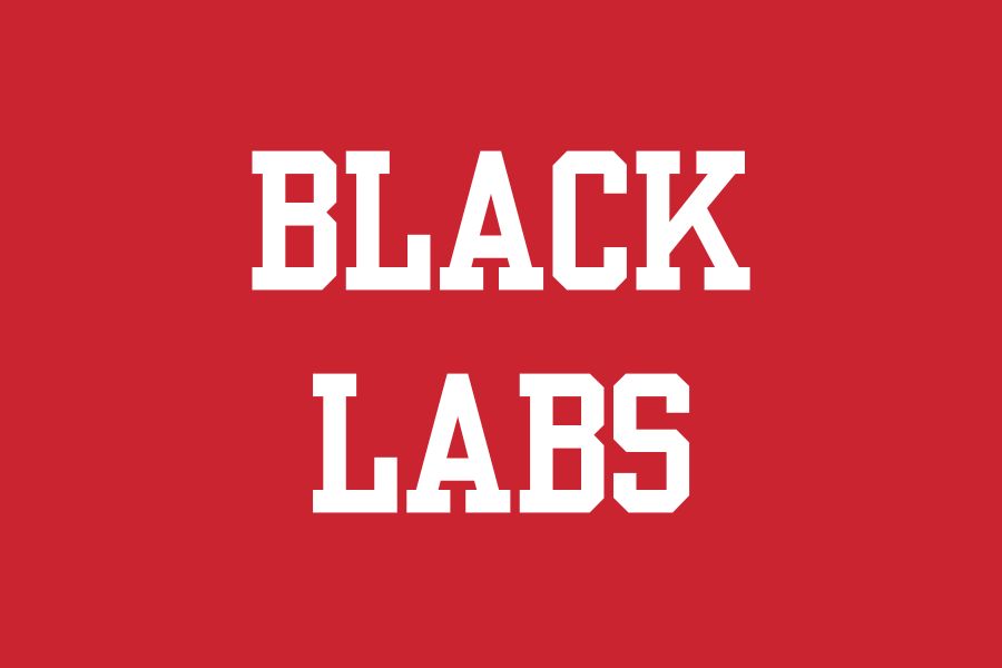 Kansas City Black Labs