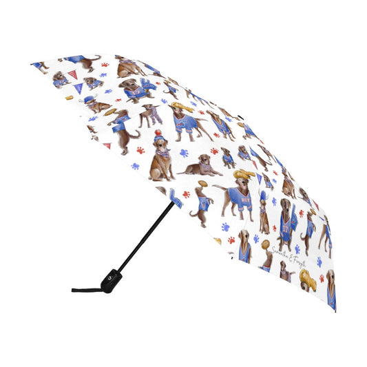 Buffalo Chocolate Lab Umbrella - Auto Open/Foldable!