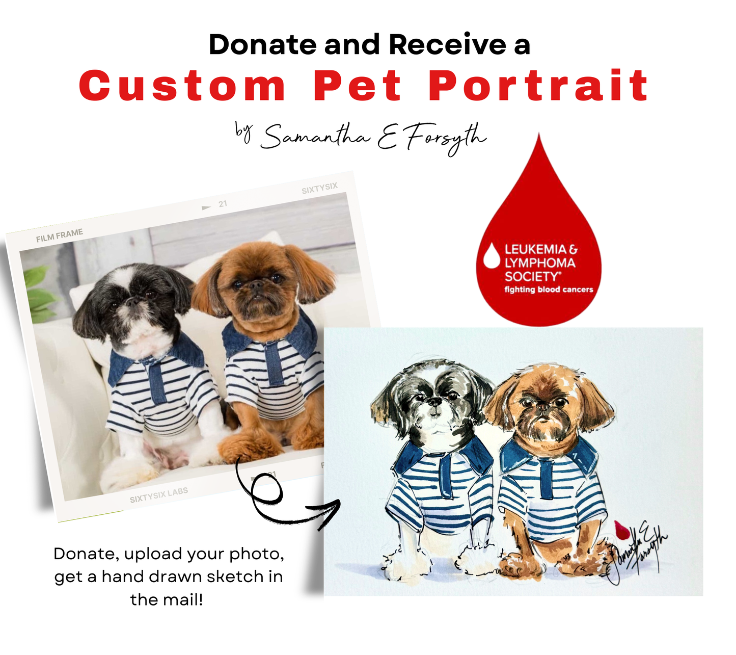 Custom Pet Portrait for a Cause – Leukemia & Lymphoma Society🩸