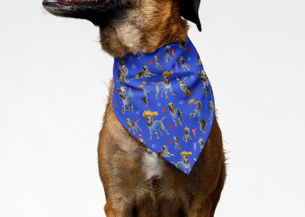 Buffalo Bills Dog Bandana & Bow Tie